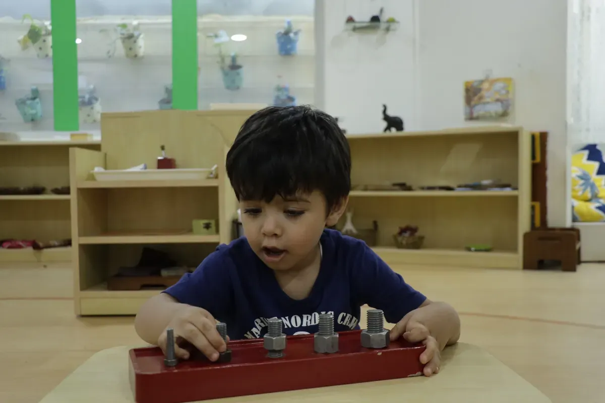 The Montessori Work Cycle