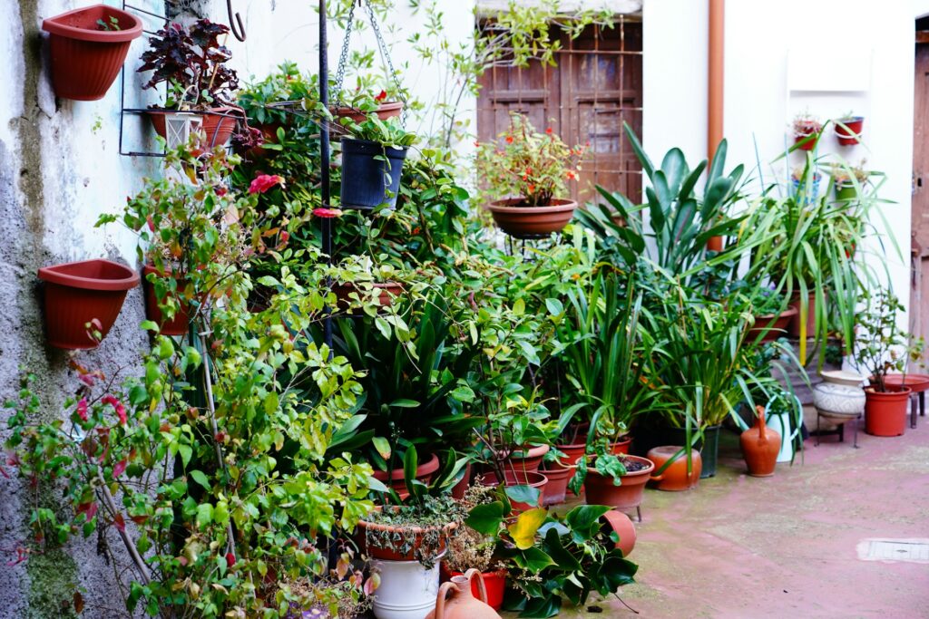 Urban garden setting, how to keep children connected to nature through everyday home habits at Blue Blocks Montessori School, Hyderabad