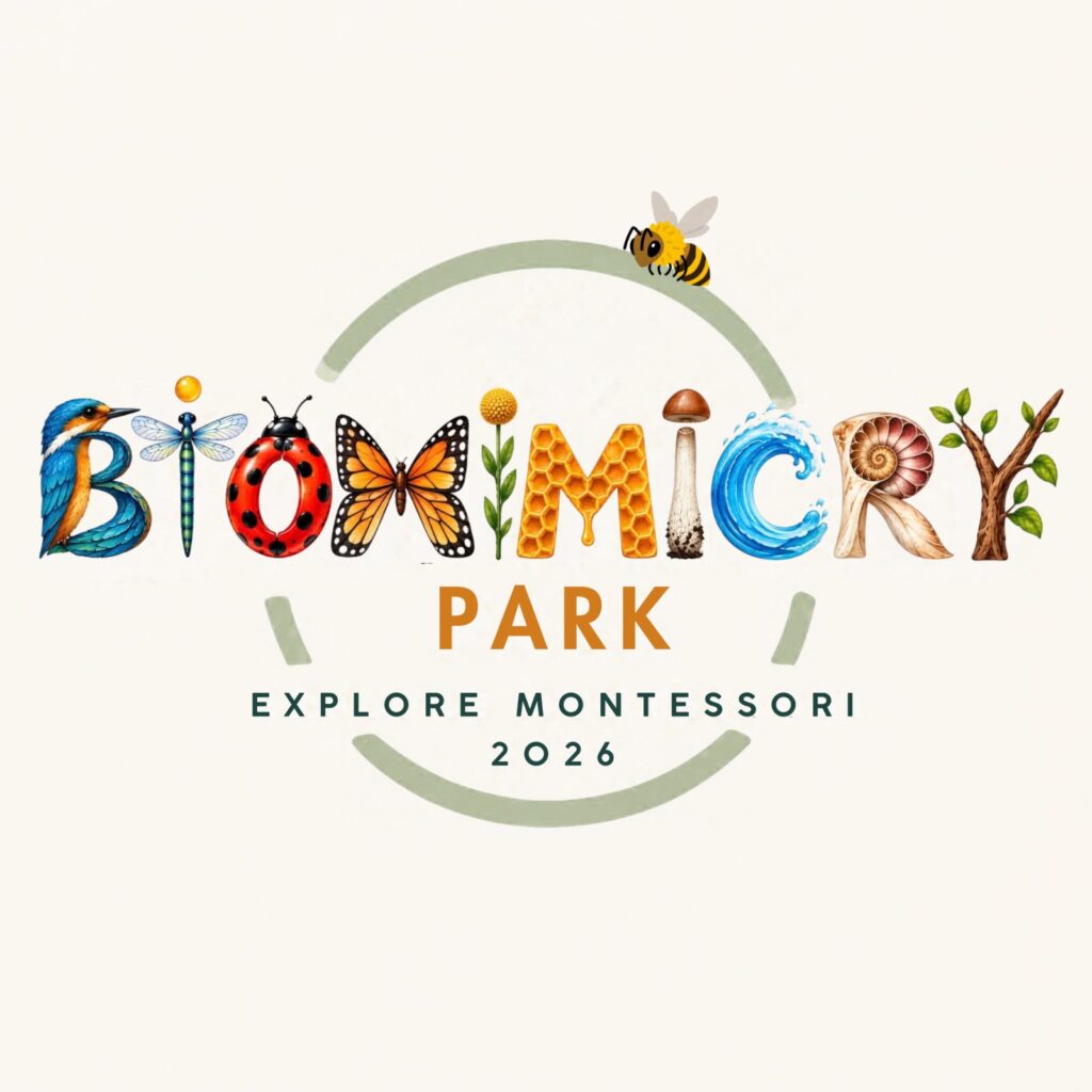 Biomimicry for children: a Blue Blocks elementary child observing nature during an Explore Montessori 2026 field study for the Biomimicry Park.